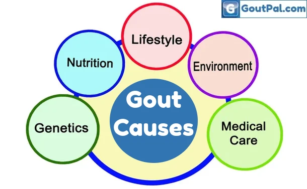 5 Types of Gout Causes
