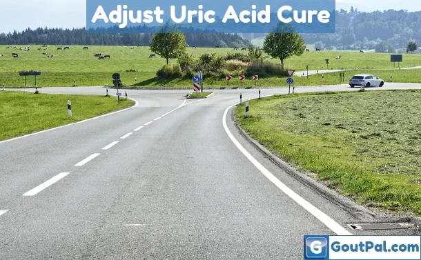Adjusting Your Uric Acid Cure