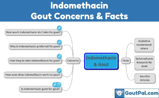 Indomethacin and Gout – Concerns and Facts