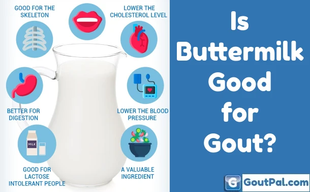 Is Buttermilk Good for Gout?