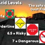 Uric Acid Levels: Safe or Dangerous?