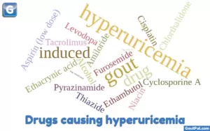 Drugs Causing Hyperuricemia
