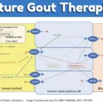 Future Gout Therapies