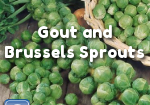Gout and Brussels Sprouts Photo