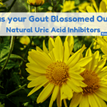 Has Your Gout Blossomed Out?