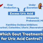 Which Gout Treatments for Uric Acid Control image