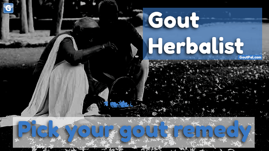 Herbal Gout Control Plan image