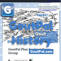 Gout Student Plan History