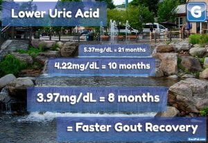 Lower Uric Acid = Faster Gout Recovery