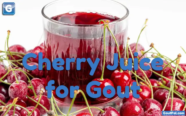 How much Cherry Juice do you drink for Gout?