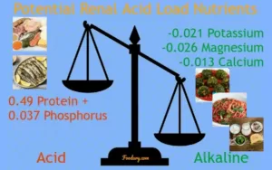 Potential Renal Acid Load Nutrients