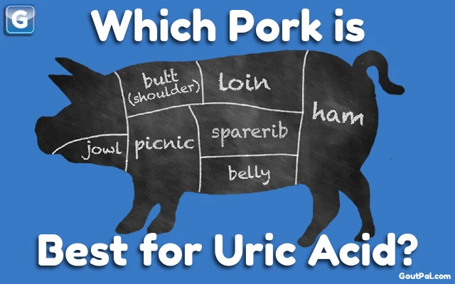 Which Pork is Best for Uric Acid?